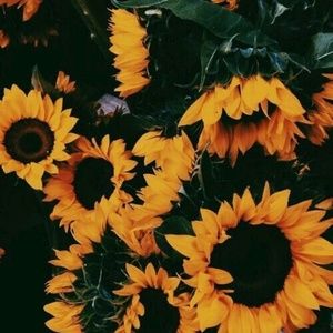 Meet your Posher, Skylah